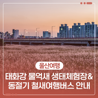 태화강 물억새 생태체험장 & 동절기 철새여행버스 안내