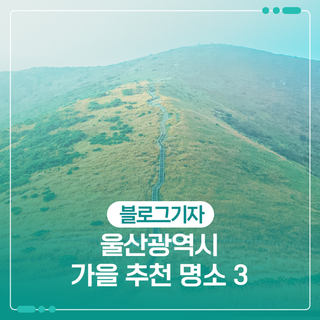 울산광역시 가을 추천 명소 3
