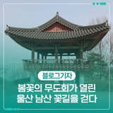 울산 남산 꽃길을 걷다