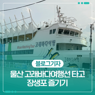 울산 고래바다여행선 타고 장생포 즐기기