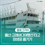 울산 고래바다여행선 타고 장생포 즐기기