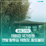 태화강 국가정원 맨발 황톳길, 체험장, 황토볼장 즐길 거리가 다양해요.