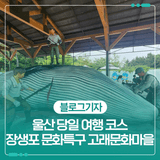 울산 당일 여행 코스 장생포 문화특구 고래문화마을