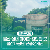 울산 실내 아이와 갈만한 곳 울산대공원 곤충생태관