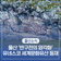 울산 '반구천의 암각화'가 세계문화유산으로 등재되었습니다!