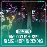 울산 야경 명소 추천 명선도 새롭게 달라졌어요