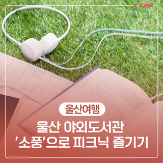 울산 야외도서관 '소풍'으로 피크닉 즐기기