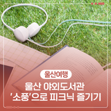 울산 야외도서관 '소풍'으로 피크닉 즐기기