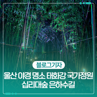 울산 야경 명소 태화강 국가정원 십리대숲 은하수길