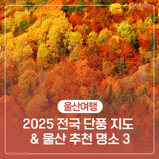 2025 전국 단풍 지도 & 울산 추천 명소 3