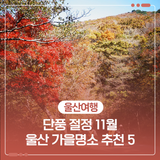 단풍 절정 11월 울산 가을명소 추천 5