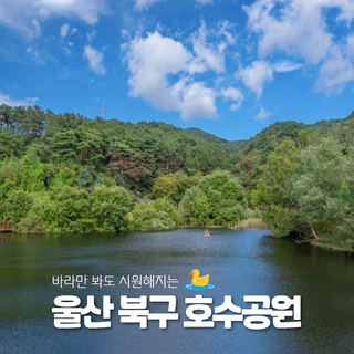 바라만 봐도 시원해지는 [울산 북구 호수공원]