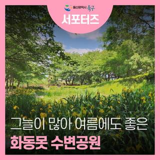 그늘막 가득한 곳으로 여름에 아이랑 나들이 가기 좋은 화동못 수변공원