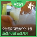 오늘 즐기지 못했으면 내일 호라카이로 오라카이!~