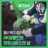 울산 북구 효문동 OK 생활민원 현장서비스의 날 안내