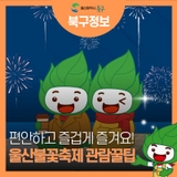 2025 울산불꽃축제 관람 꿀팁