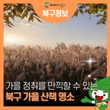 가을 정취를 만끽할 수 있는 [울산 북구 가을 산책 명소]