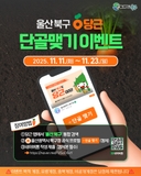 울산 북구 당근 단골맺기 이벤트