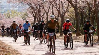 벚꽃비가 내리는 멋진 날~ 염포산 전국산악자전거대회