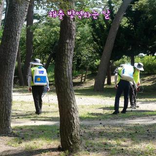 모기, 파리, 진드기 물럿거라! (대왕암공원 해충 방역)