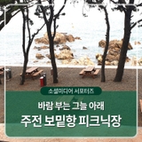 바람 부는 그늘 아래, 주전 보밑항 피크닉장