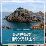 울산의 대표관광명소로 자리매김한 울산 동구 대왕암공원을 소개합니다.