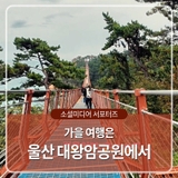 가을 여행은 울산 대왕암공원에서