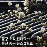 2025년 2월 중구뉴스(242호)_중구 소식 받아보세요!