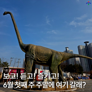 보고! 듣고! 즐기고! 6월 첫째 주 주말에 여기 갈래?