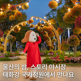 울산의 밤, 스토리 야시장 7월 18일부터 태화강 국가정원에서 만나요!