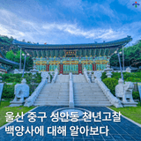 울산 중구 성안동 패키지 Ⅰ : 백양사