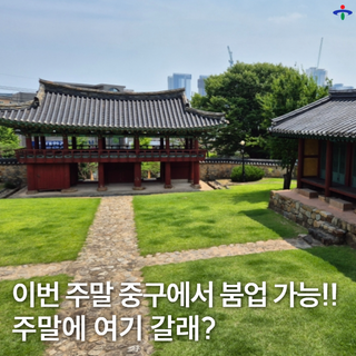 이번 주말 중구에서 붐업 가능! 8월 마지막 주 주말에 여기 갈래?