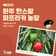 전북특별자치 영농조합법인 한스팜 파프리카 농장, 파프리카 자동 선별장