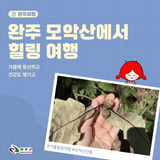 완주 가을여행 추천 모악산으로 떠난 힐링 여행