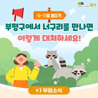6~11월 불청객, 부평구에서 너구리를 만나면 이렇게 대처하세요!