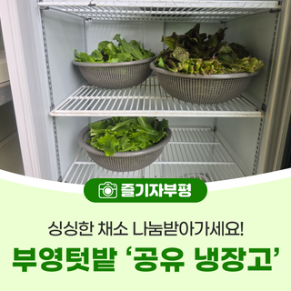 부영텃밭, 주민들에게 채소 나눔 하는 <공유 냉장고>
