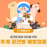 2025년 부평구 추계 광견병 예방접종 실시 안내
