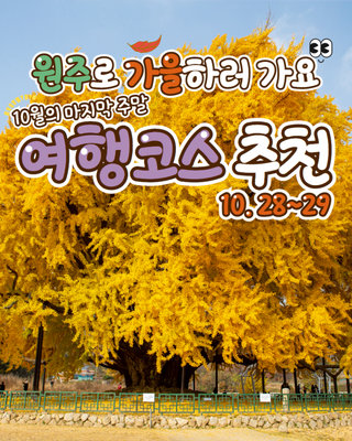 [원주 가볼 만한 곳] 10월 마지막 주말 원주 여행코스 추천