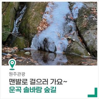 [원주 가볼 만한 곳] 맨발로 걷기 좋은 운곡 솔바람 숲길