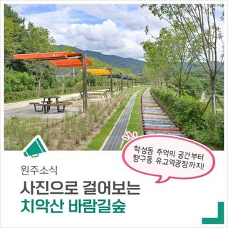 사진으로 걸어보는 치악산 바람길숲 (학성동 추억의 공간부터 행구동 유교역광장까지!)