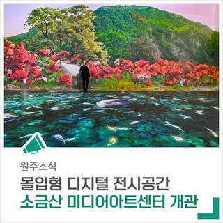 자연과 기술이 만나는 디지털 전시공간 - '소금산 미디어아트센터'가 개관했습니다.