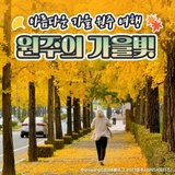 가을이 아름다운 원주로 여행을 떠나요!