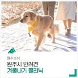 원주시 반려견 겨울나기 클리닉으로 따뜻한 겨울 준비하세요.