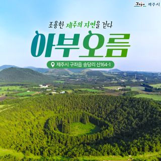 조용한 제주의 자연을 걷다 '아부오름'