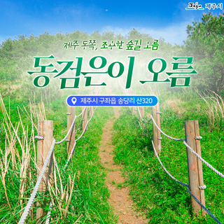 조용한 숲길을 걷고 싶을 때, 동검은이 오름