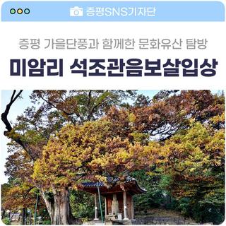 미암리 석조관음보살입상 / 미륵댕이마을 / 충북 증평