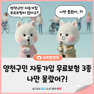 양천구민 자동가입 무료보험 3종 : 양천구 구민안전보험, 양천구민 자전거보험, 장애인 전동보장구 보험