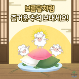 보름달처럼 즐거운 추석 보내세요!