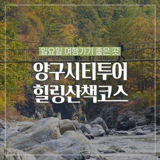 일요일 강원도 여행지! 양구시티투어 힐링산책코스 :: 양구 가볼만한곳