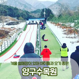아이들과 놀러오세요! 겨울 썰매장이 있는 양구수목원 :: 양구 가볼만한곳